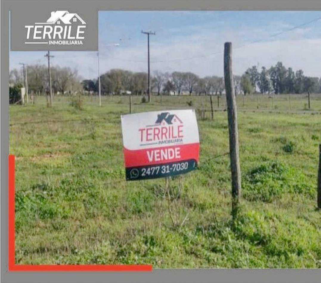 Viña Terrenos en venta - calle Misiones y Islas Malvinas 