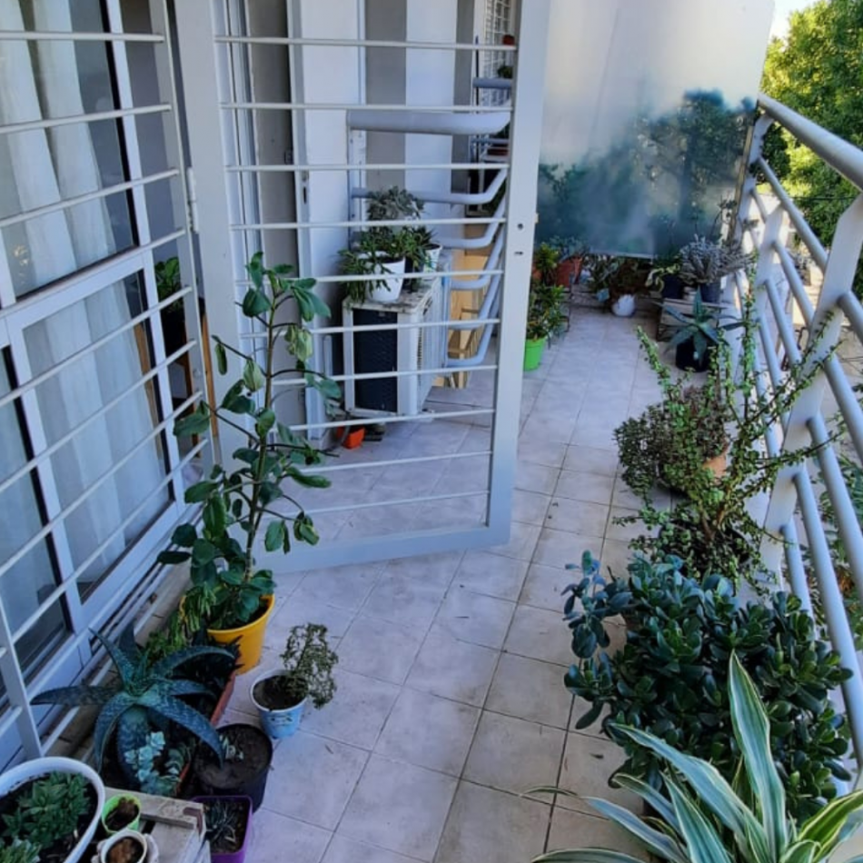 Pergamino Departamento - Larrea 527 