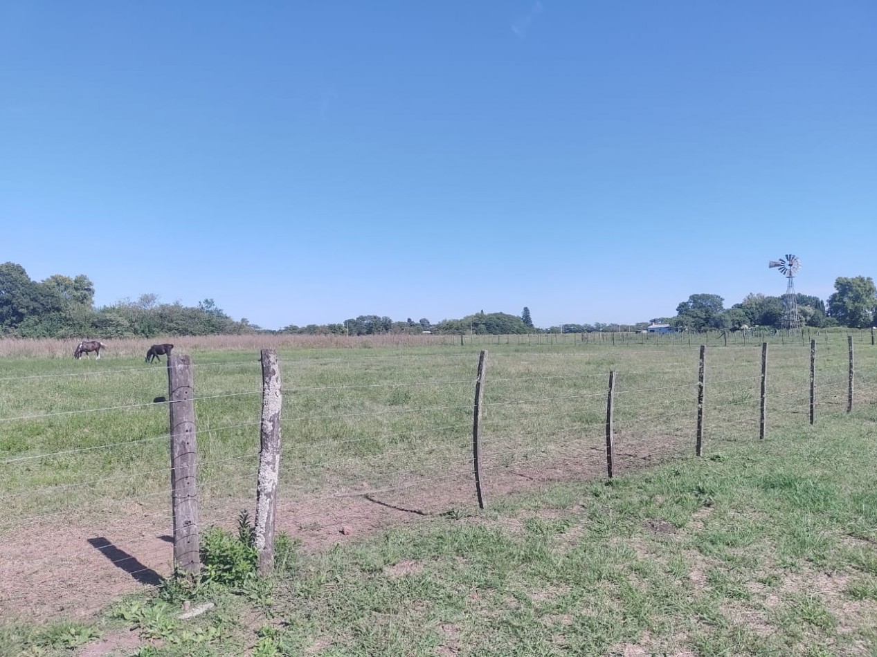 Manuel Ocampo Terrenos en venta - calle San Martin y Sarmiento 