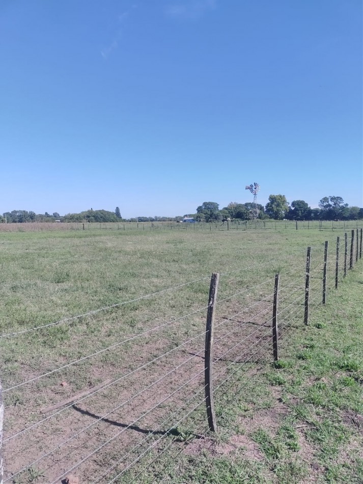 Manuel Ocampo Terrenos en venta - calle San Martin y Sarmiento 