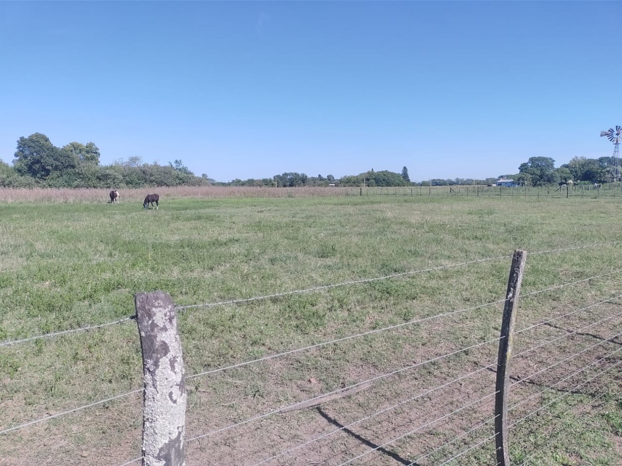 Manuel Ocampo Terrenos en venta - calle San Martin y Sarmiento 