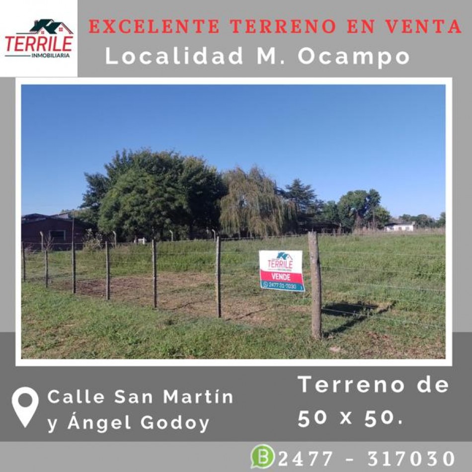 Manuel OCampo Terreno en venta 12,50 x 25 mts  - San Martin 