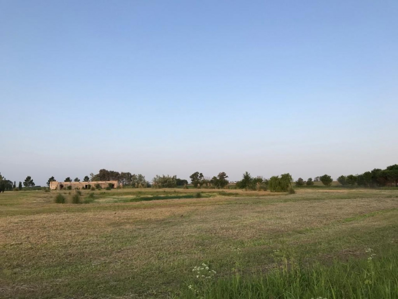 Pergamino Predio en venta - Ruta 8 Km 217 
