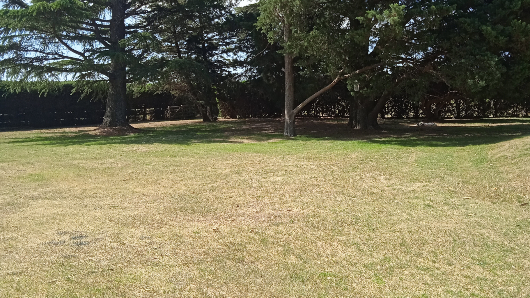 Pergamino Casa quinta en venta - Ruta 188 - KM 82,5 - entre Pergamino y Rojas 