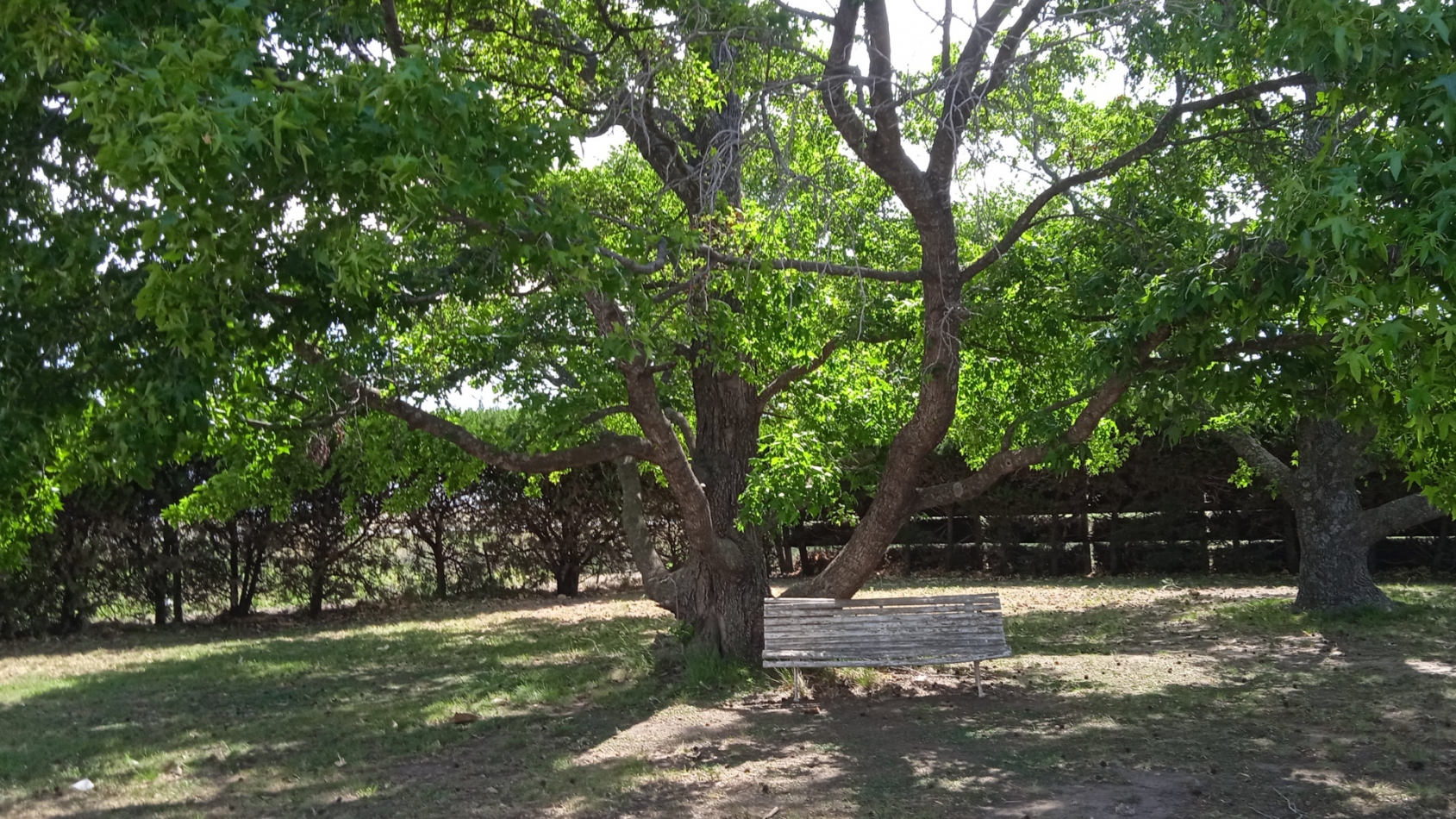 Pergamino Casa quinta en venta - Ruta 188 - KM 82,5 - entre Pergamino y Rojas 