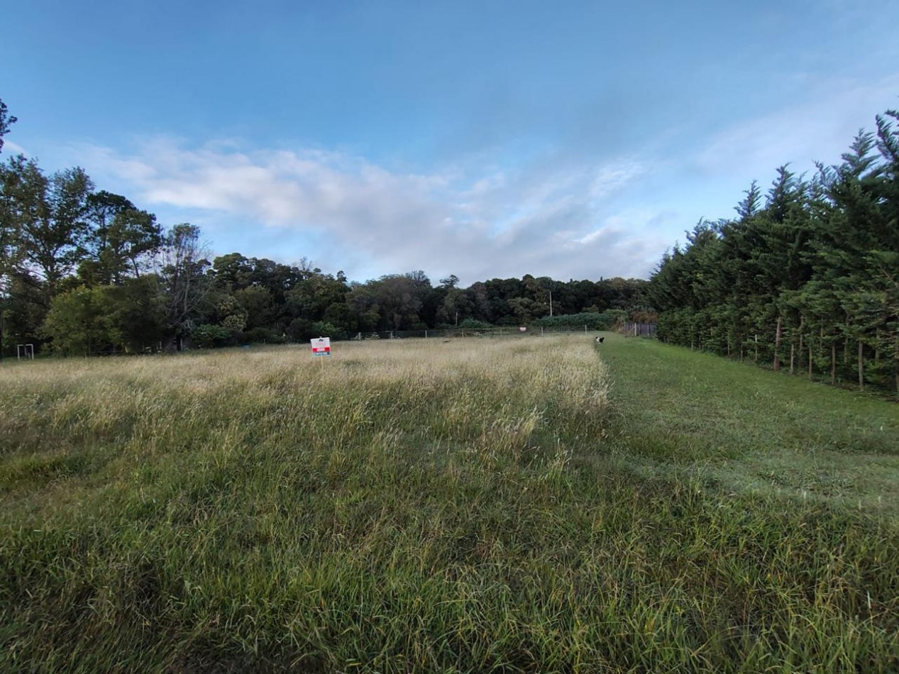 Pergamino excelente Terreno de 2063 mts en venta  - Luar Kayad 